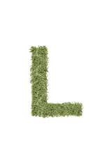 The letter from the alphabet of arugula