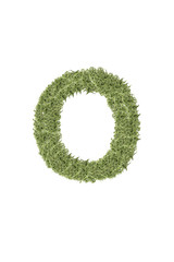 The letter from the alphabet of arugula