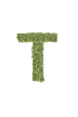 The letter from the alphabet of arugula