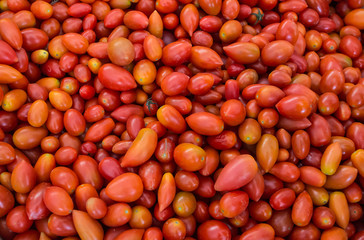  fresh tomatoes in market
