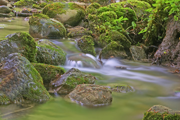 Romantische Bergschlucht