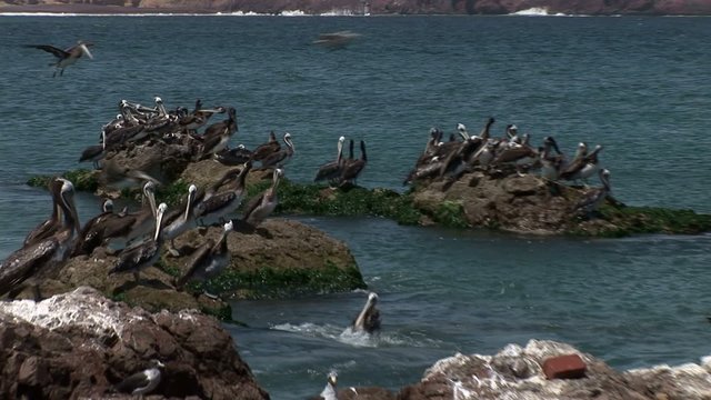 Paracas National Park, Desert and Ocean, Peru 
