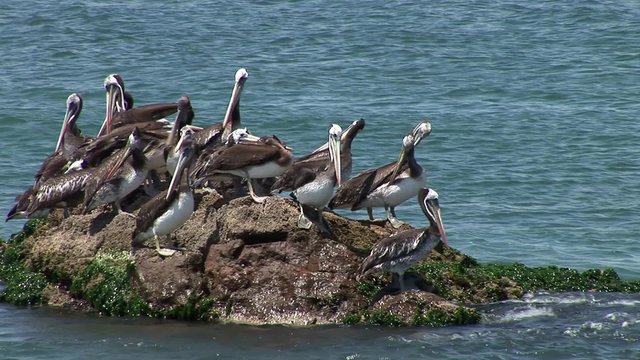 Paracas National Park, Desert and Ocean, Peru 
