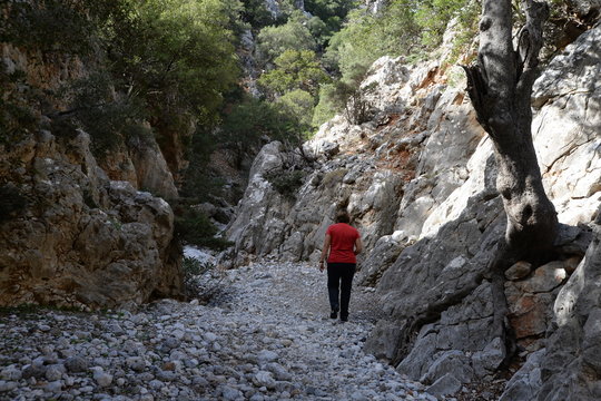 Kritsa-Schlucht, Kreta