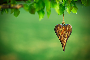wooden shape of heart on natural green background with copy spac