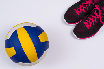  Volleyball subjects. - 83463452