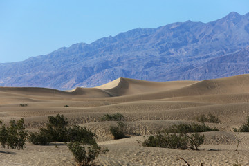 dunes in death valley national park, California, usa