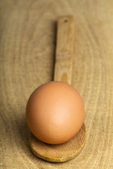 fresh chicken egg in wooden spoon on wood board