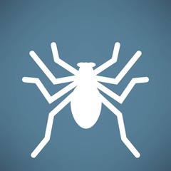 Spider icon