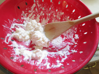 Milk kefir grains in a plastic red colander. 