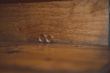 Background from a tree and wedding rings 2606.