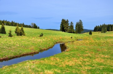 Oberlauf der Schwarzwasser (Cerna) im Erzgebirge