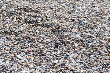 gravel background