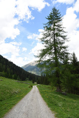 Fototapeta premium paesaggio di montagna strada sterrata 