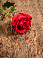 red rose on the old wooden plank