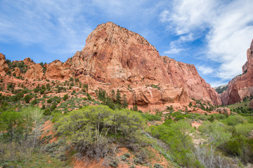 Kolob à Zion