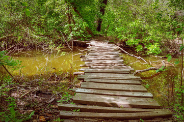 Fototapeta premium old wooden bridge