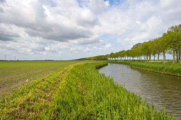 Fototapeta na wymiar Canal through a sunny rural landscape in spring