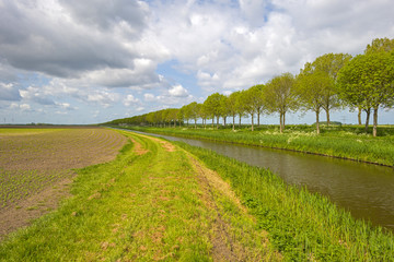 Canal through a sunny rural landscape in spring