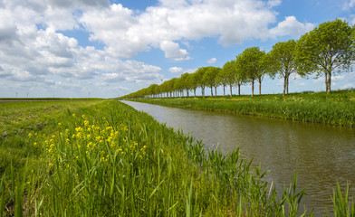 Obraz na płótnie Canvas Canal through sunny farmland in spring