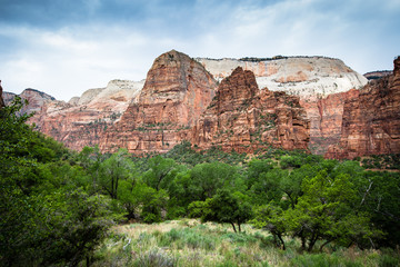 Paysage de Zion national park