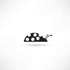 Ladybug icon