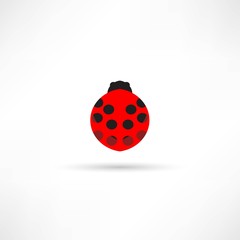 Ladybug icon