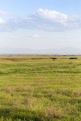 Spring in the steppes of Kazakhstan