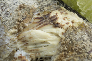 fish food grill meat salt chacoal meal concept