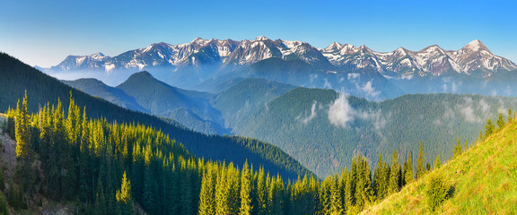 Morning view of spring forest and mountains with snow