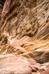 Dans le parc de Zion