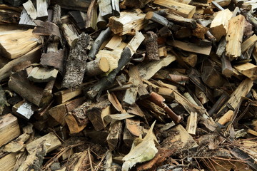 Holzscheite