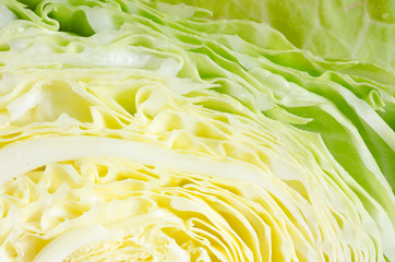 sliced cabbage head