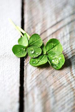 Green clover leaves with drops on wooden background