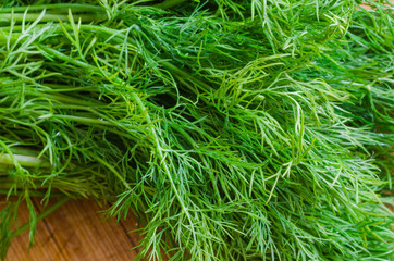 dill herb closeup