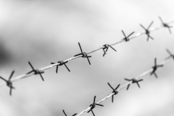 barbed wire on nature