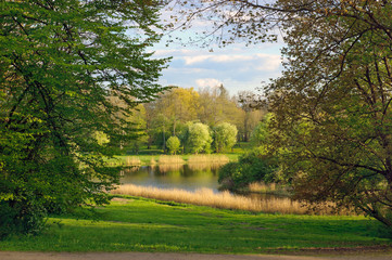 Spring landscape of Belovezhsky park