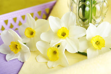 Fresh narcissus flowers on wicker tray, closeup