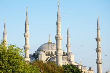 Fototapeta na wymiar sultan ahmed mosque exterior in istanbul turkey