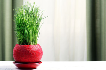Green grass in pot on fabric background