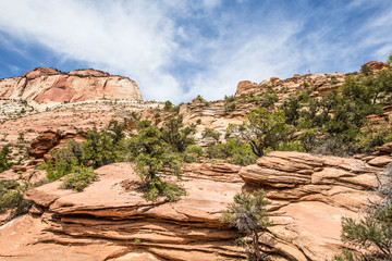 Zion national park