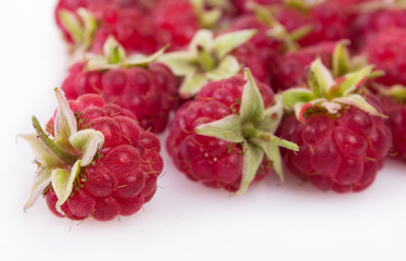 Fresh raspberry