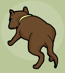 Pet Dog Over Green