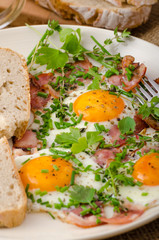 Spring omelette with bacon, egg and herbs