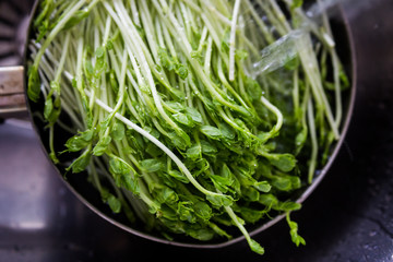 organic veggie