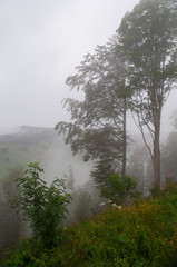 Obraz na płótnie Canvas Fog in mountains .