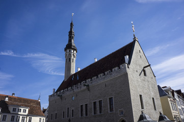 Fototapeta na wymiar Tallinn town hall