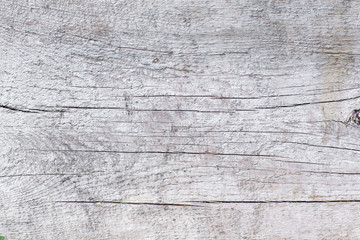 Obraz premium Old wood background.