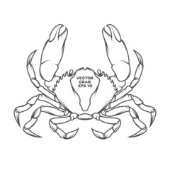 vector crab illustration