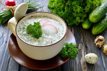 Russian spring and summer cold soup  with kefir